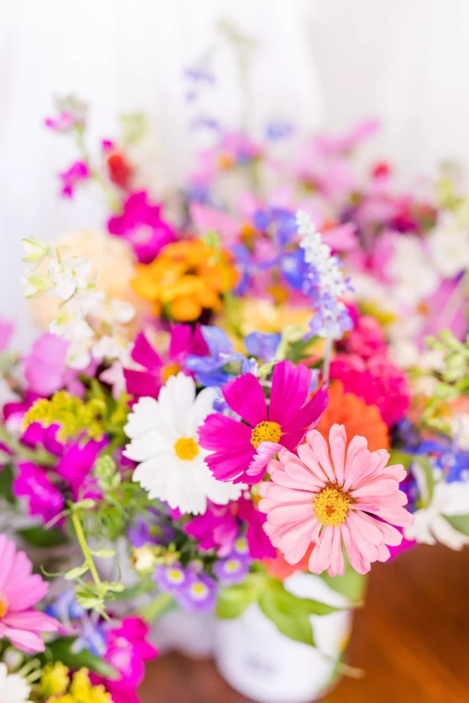 Ashlynn-Dylan-14-scaled