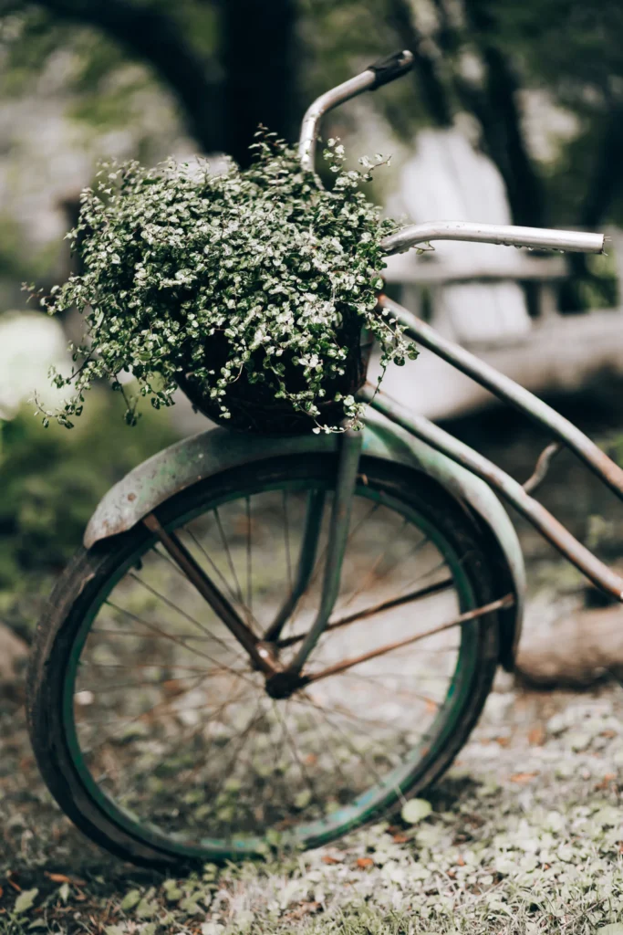 Catherine-Jacob-12-scaled