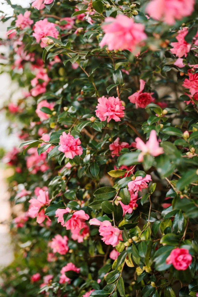 Hadley-Mike-2-scaled